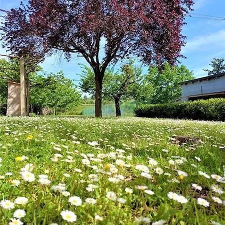 Tuoro Sul Trasimeno *