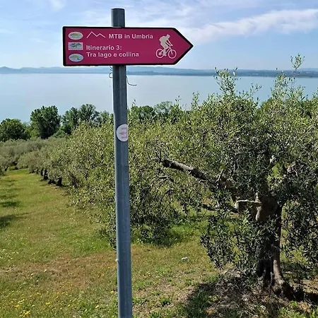 Tuoro Sul Trasimeno * Borghetto (Umbria)