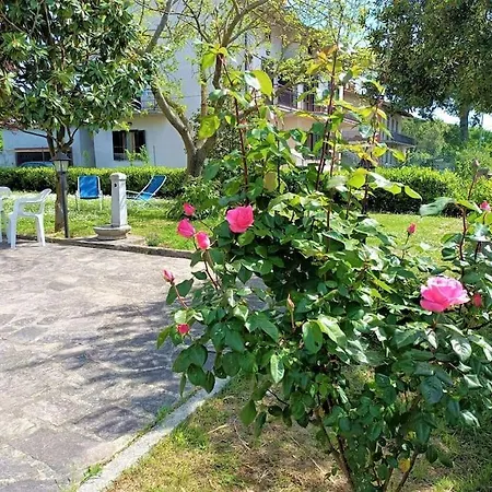 Tuoro Sul Trasimeno Apartment